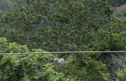 Santiago de los Caballeros Cabin | Cabaña Jacagua Hill