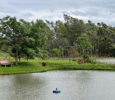Alto Parana Department Cabin | Cabañas Mi Querido Viejo