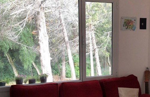 Playa Bonita Cabin | Cabaña Bariloche Vista al Otto