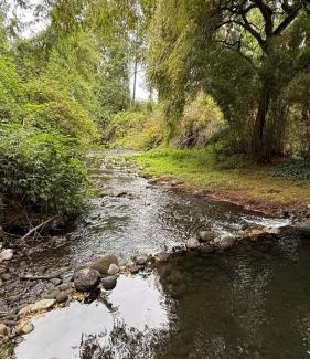 Lican Ray House | Cabaña Borde Río para 2 Licanray