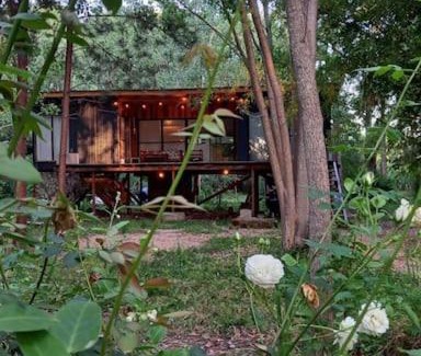 Tigre House | Cabaña Caña Seca