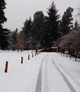 San Carlos de Bariloche Cabin | Cabaña con costa de lago