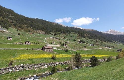 Soldeu Apartment | Cabaña de madera Valle de Incles Orenetes HUT - 8301