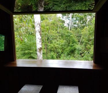 Quebrada La Gamba Cabin | Cabaña De Montaña