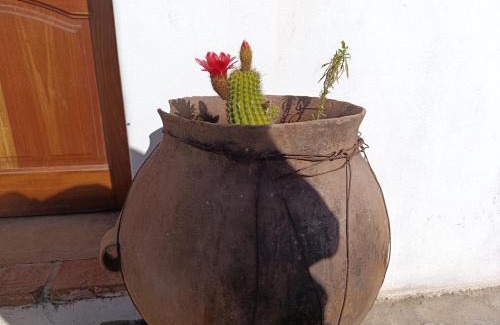 Cachi Apartment | Cabaña el coquena