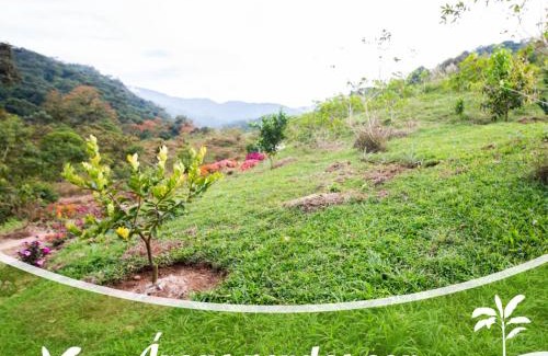 Pejibaye Ski Chalet | Cabaña el Guayabal