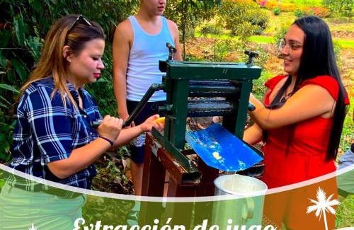 Pejibaye Ski Chalet | Cabaña el Guayabal