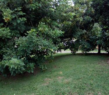 Las Horquetas House | Cabaña La Conquista