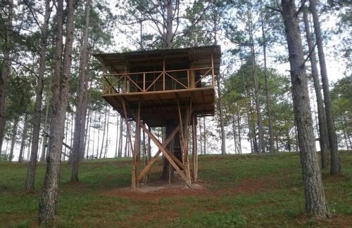 Siguatepeque House | Cabaña La tortuga