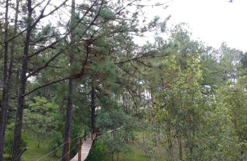 Siguatepeque House | Cabaña La tortuga