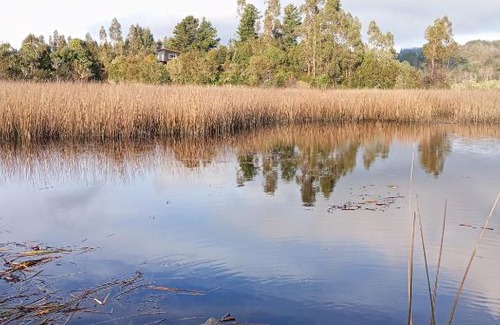 Punucapa House | Cabaña Las Canoas