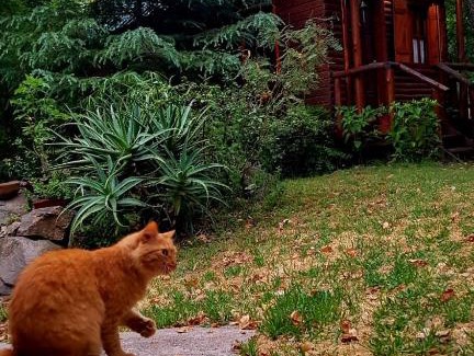 Rio Ceballos House | Cabaña Las Nubes