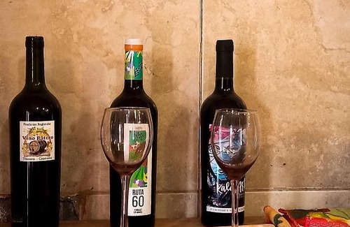 Tinogasta House | Cabaña Mis Montañas