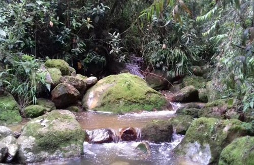 Granada House | Cabaña MonteNube EcoConcientizate