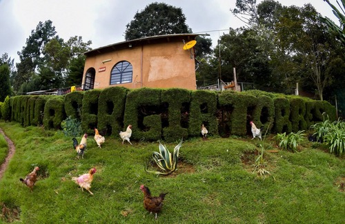 San Cristobal de las Casas Cabin | Cabañas y Suites Sergia Torres