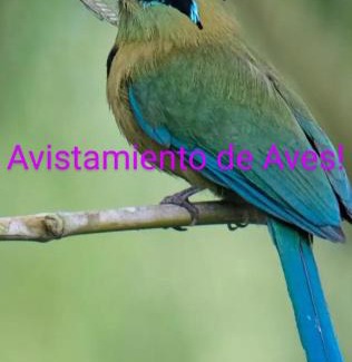 Salento Other | Cabaña Rustica Durango