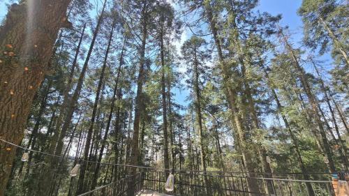 Jimenez House | Cabaña Titanic Excelente lugar para descansar