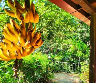 Minca Villa | Cabaña vida