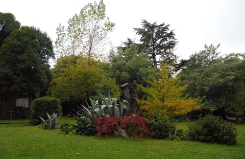 Villa Ventana Cabin | Cabañas Ñuke Mapu