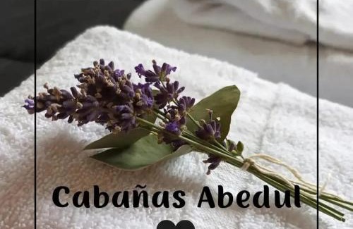 Meliquina Ski Chalet | Cabañas Abedul