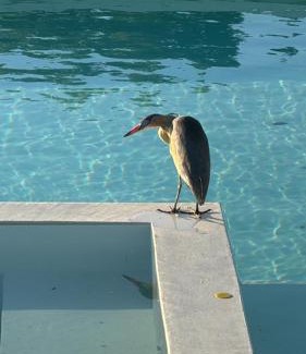 Tandil Apartment | Cabañas Agapanthus Las Marias