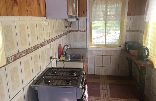 Panguipulli House | Cabañas Aliwen Panguipulli