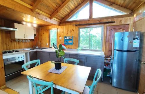 Pucon Ski Chalet | Cabañas Ayalén con vista al Lago