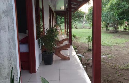Tortuguero Hotel | Cabañas Daneysha