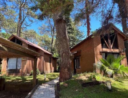 Costa del Este Apartment | Cabañas Das Dorf