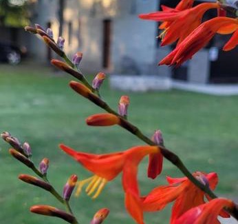 Mercedes Apartment | Cabañas De Cero