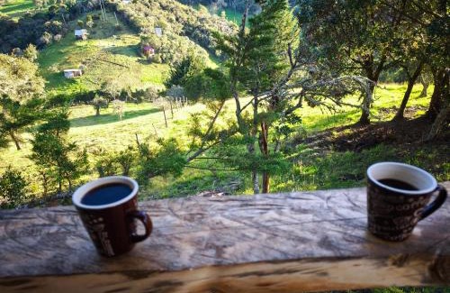 Sesquile Other | Cabañas Del Árbol n2