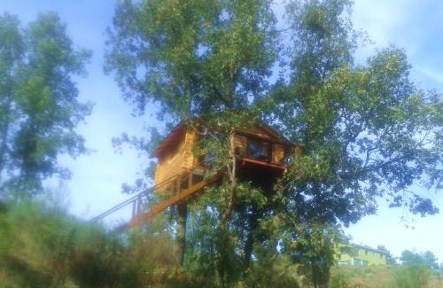 Villasbuenas de Gata Other | Cabañas en los Árboles de Extremadura