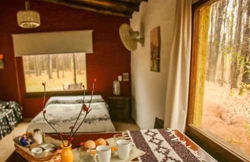 Malargue Cottage | Cabañas en Malargue