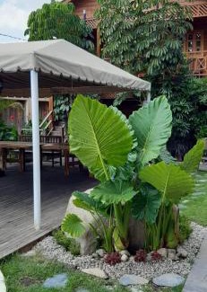 Atlixco Other | Cabañas La Finca