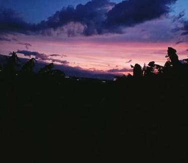 Filandia House | Cabañas la Miranda