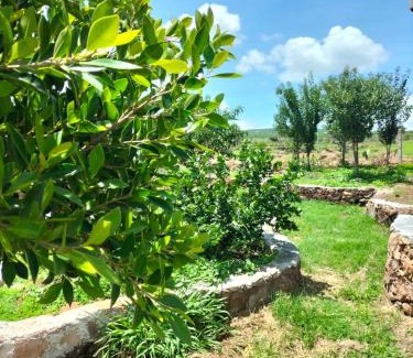 La Mancha House | Cabañas Los Laureles