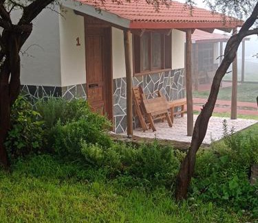 Ixmiquilpan Cabin | Cabañas Los Olivos