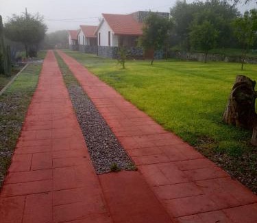 Ixmiquilpan Cabin | Cabañas Los Olivos