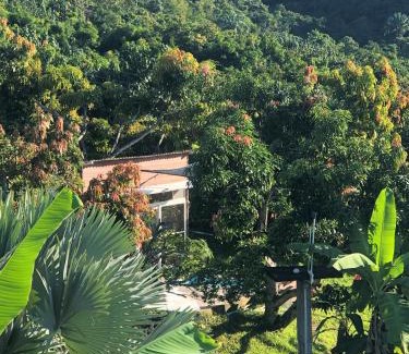 La Mesa House | Cabañas Los Tulipanes