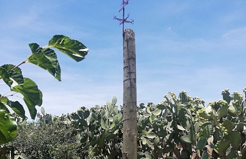 Pedro Escobedo Cabin | Cabañas Miranda