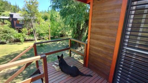 Partido de Tigre Apartment | Cabañas Panambi