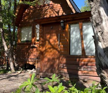 Moquehue Ski Chalet | Cabañas Refugio del Cauquen - Moquehue
