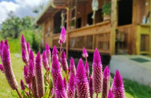 Jardin Ski Chalet | Cabañas Villa Juliana