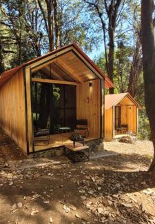 Huitzilac Other | Cabañas Vive el Bosque