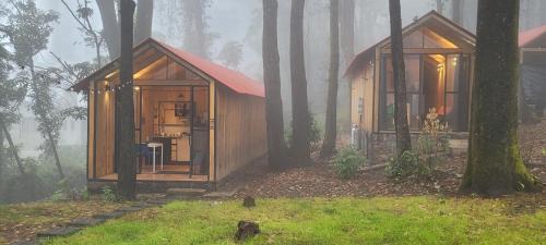 Huitzilac Other | Cabañas Vive el Bosque