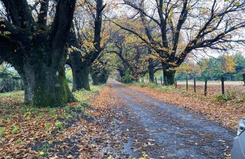 Los Angeles House | Cabañita Uriflor