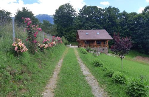 Bran House | Cabana Adierea Vantului Bran