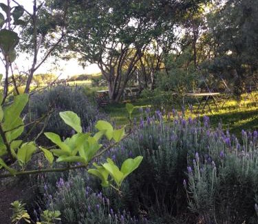 Cornelio Procopio Other | Cabana da Mata