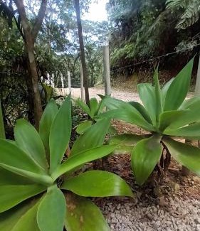 Nova Nazare House | Cabana do Riacho