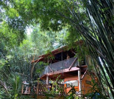 Paraty Cabin | Cabana do Tarzan na Praia de Parati Mirim